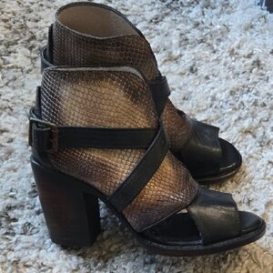 Freebird By Steven Brown and Black Women's Heeled Boots